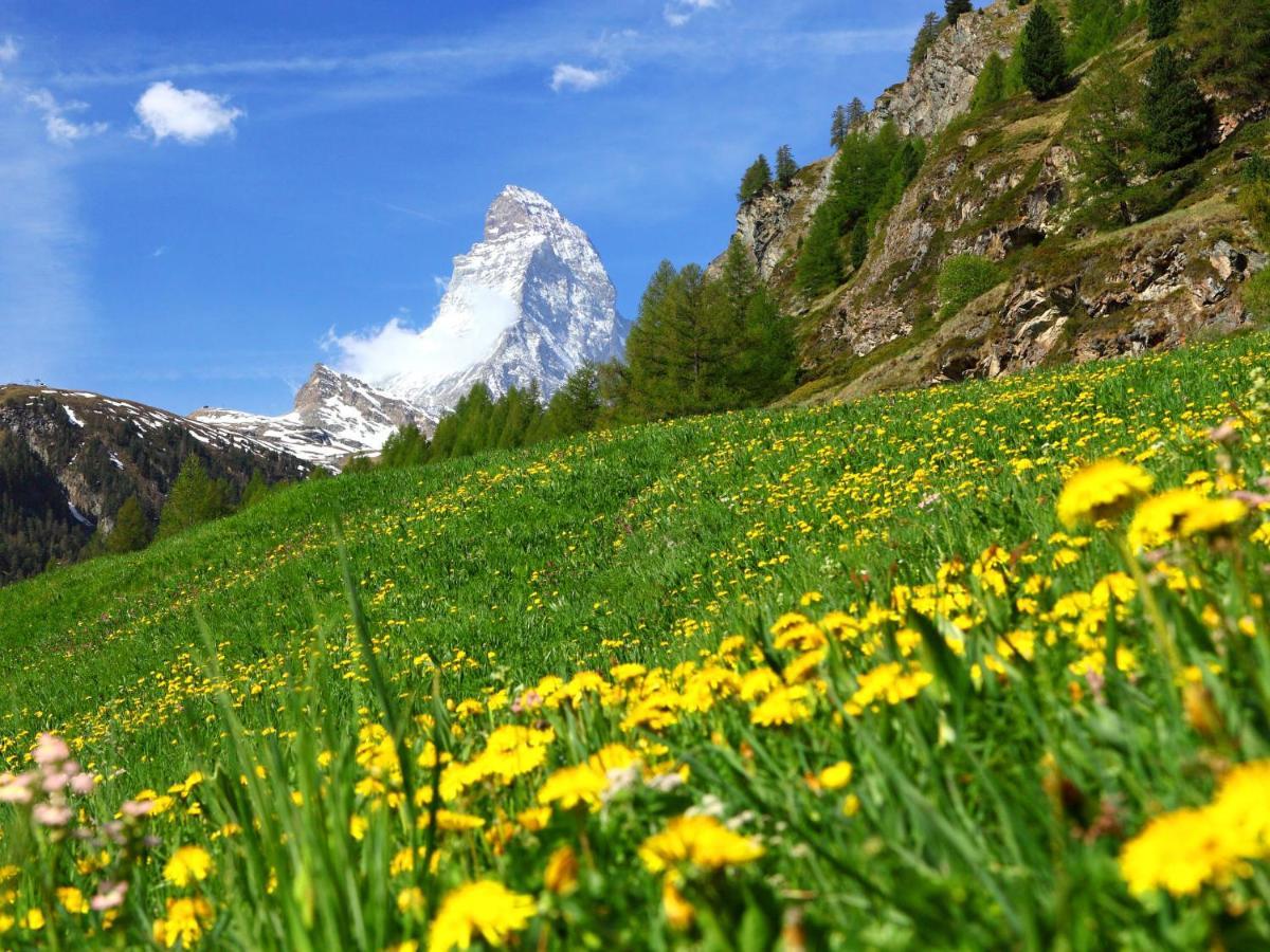 Apartment Monazit By Interhome Zermatt