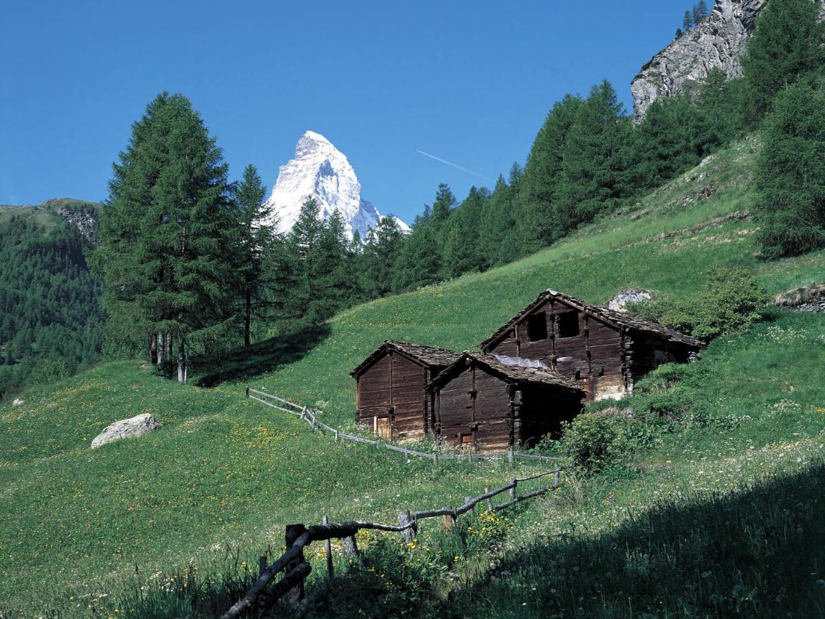 Monazit By Interhome * Zermatt